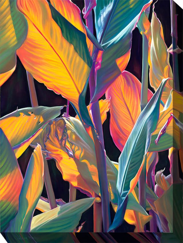 OU-80115 TROPICANA 30x40