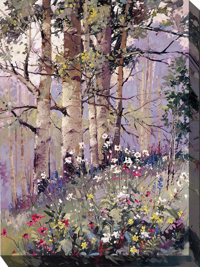OU-85034 ASPEN SPRING 30x40