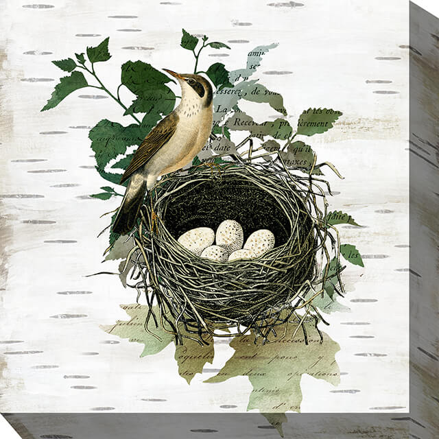 88408-24 NESTING PLACE No1 24x24